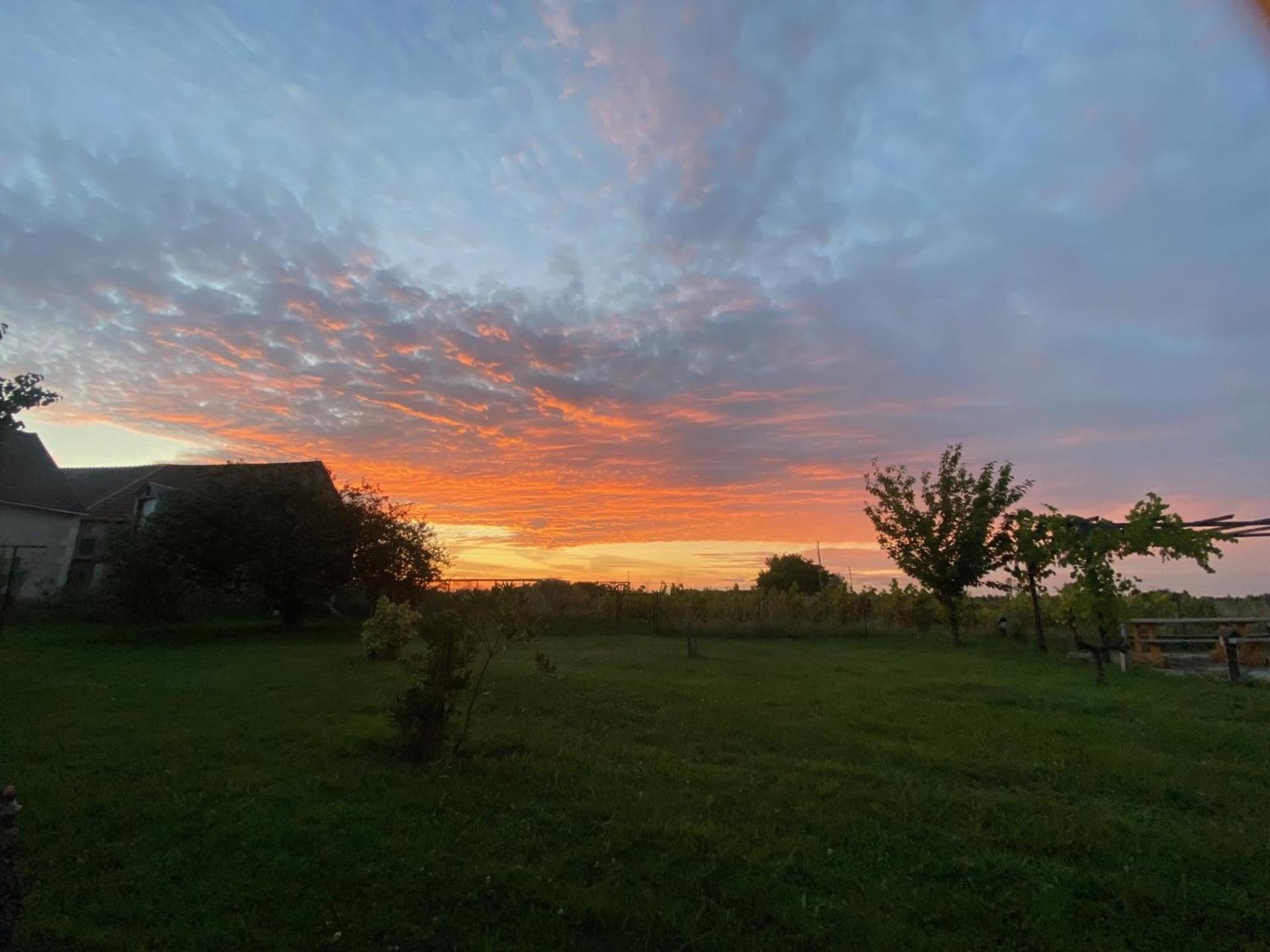 Bed and Breakfast Les Hirondelles Du Moulin Sassay Exterior foto