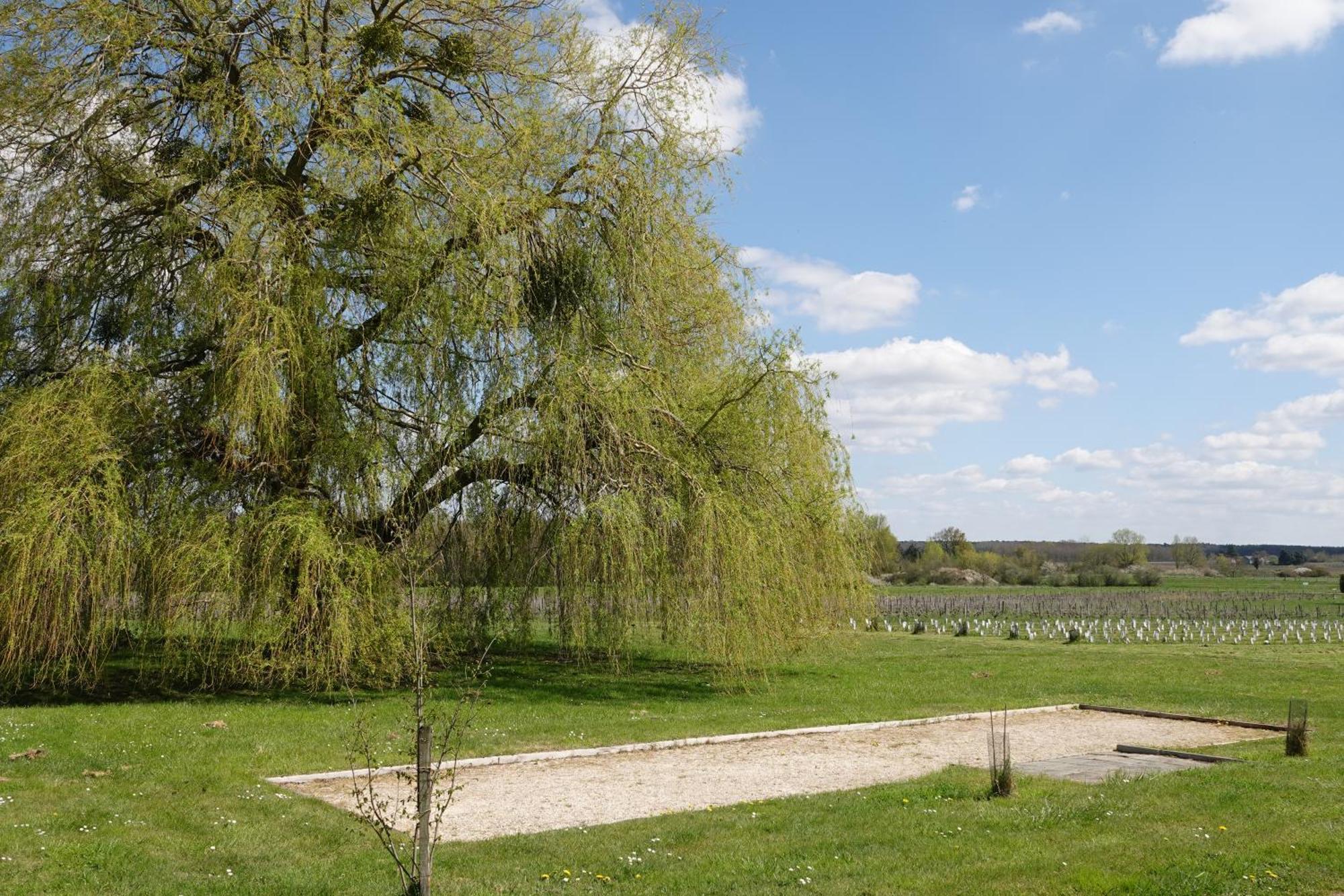 Bed and Breakfast Les Hirondelles Du Moulin Sassay Exterior foto